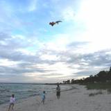 Drakflygning på stranden